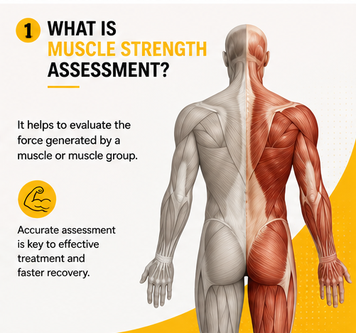 Muscle Strength Check